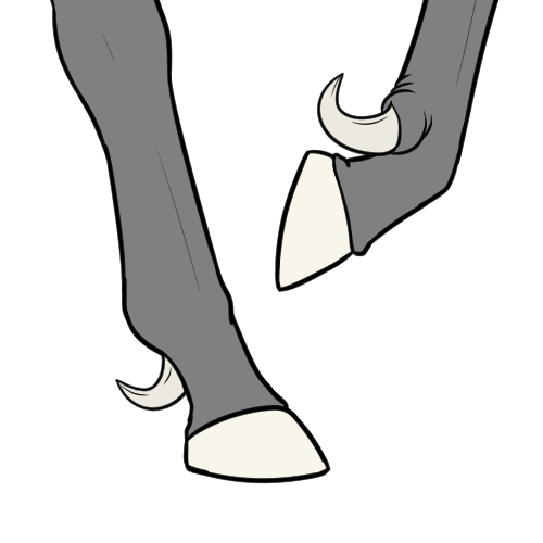 Raptor Claw (Sub)