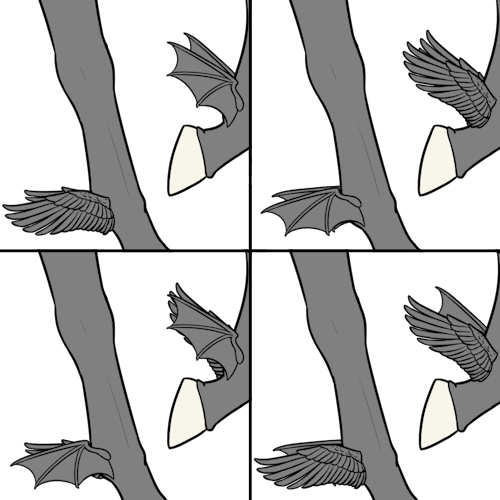 Arch's Winglets From Both Sides (Sub)