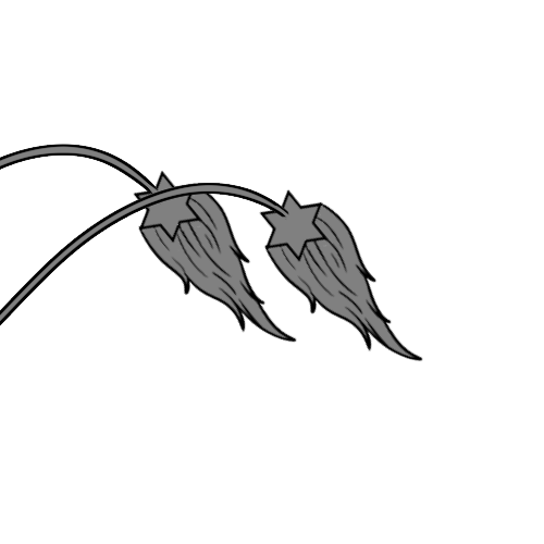 Long Furred 6-Pointed Star Ends